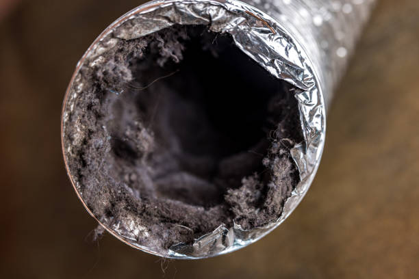 Air Duct Mold Removal in Santa Rita Ranch, TX