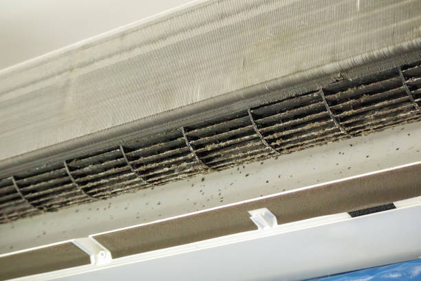 Best Air Duct Cleaning Near Me  in Santa Rita Ranch, TX